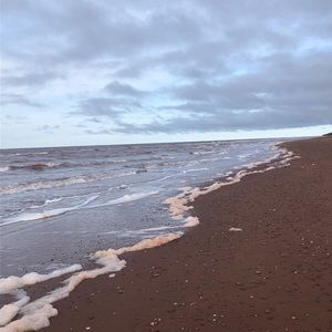 Meet your Posher, Rayne